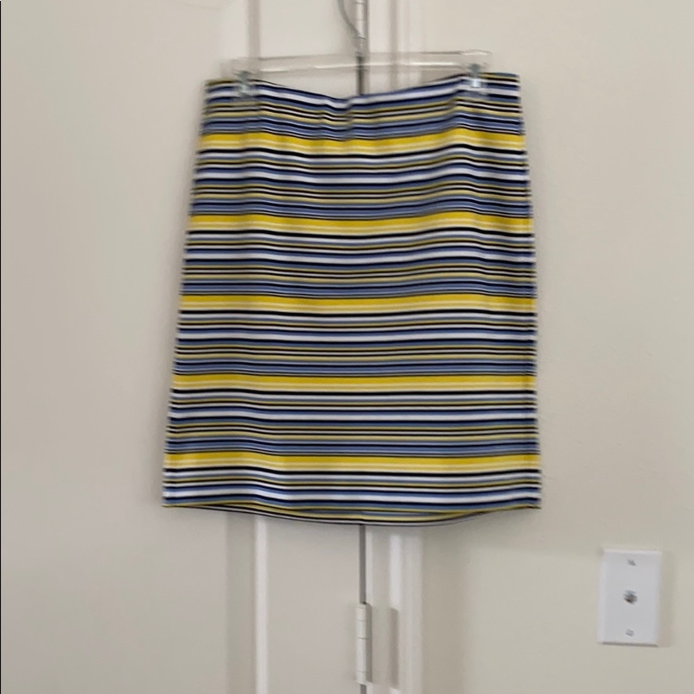 Ann Taylor skirt with stripes